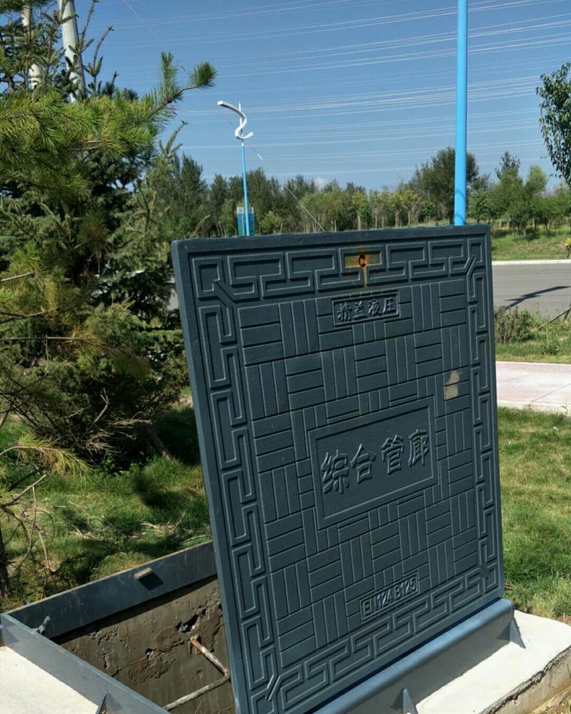 内(nèi)蒙古現場(chǎng)